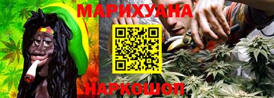 сатива Будённовск