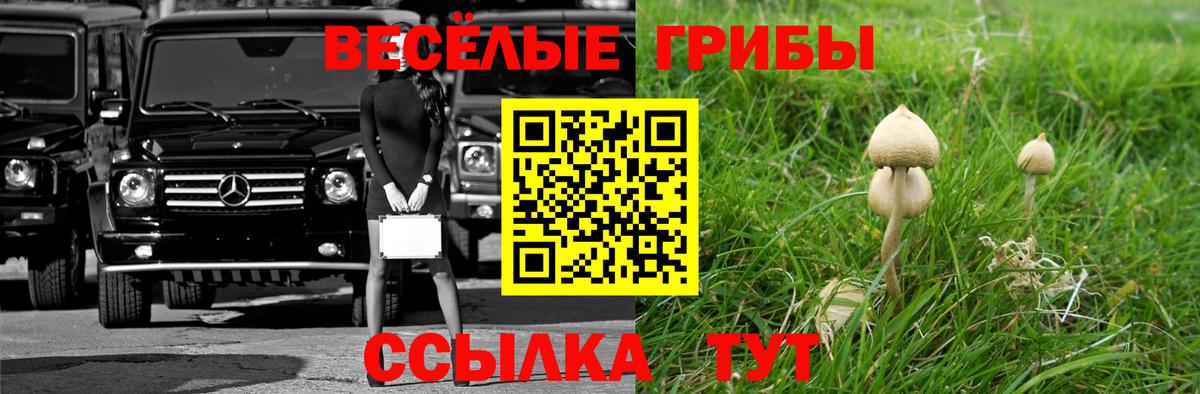 Галлюциногенные грибы MAGIC MUSHROOMS  Вход с VPN  Галлюциногенные грибы мицелий  Волоколамск 